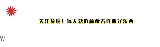 真希望这些网站永远不要404…-人生如棋，落子无悔！